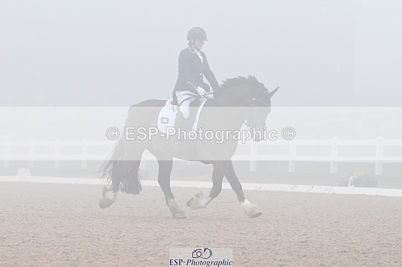 240217A-125402-02709 - 251-Alison.Crimp-Crwys.Beau