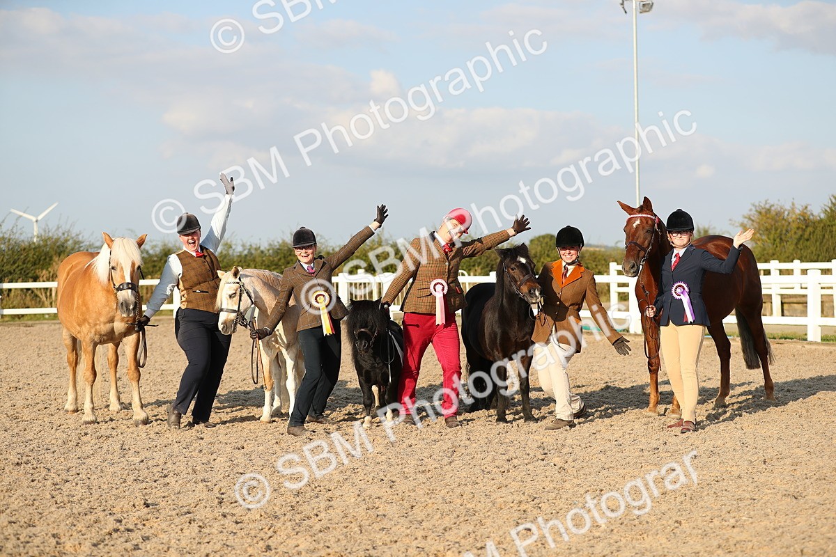 SBM_09173 - Class 29 IH Veteran Pony
