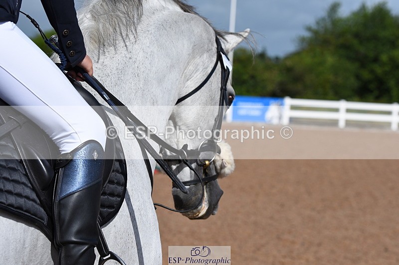 230715A-094120-00062 - Cls 11 Children on Horses 1.05m