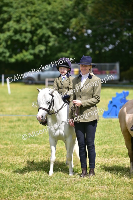 20260614-1207 - Class 11a - Lead Rein Pony (Unplaited)