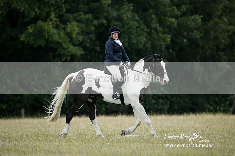 BVRC 030721 301 - Bourne Valley Riding Club Dressage 03/07/21
