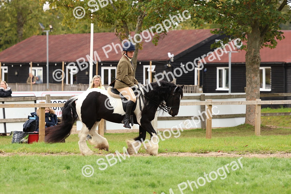 SBM_64612 - S58 - Coloured Pony Ridden