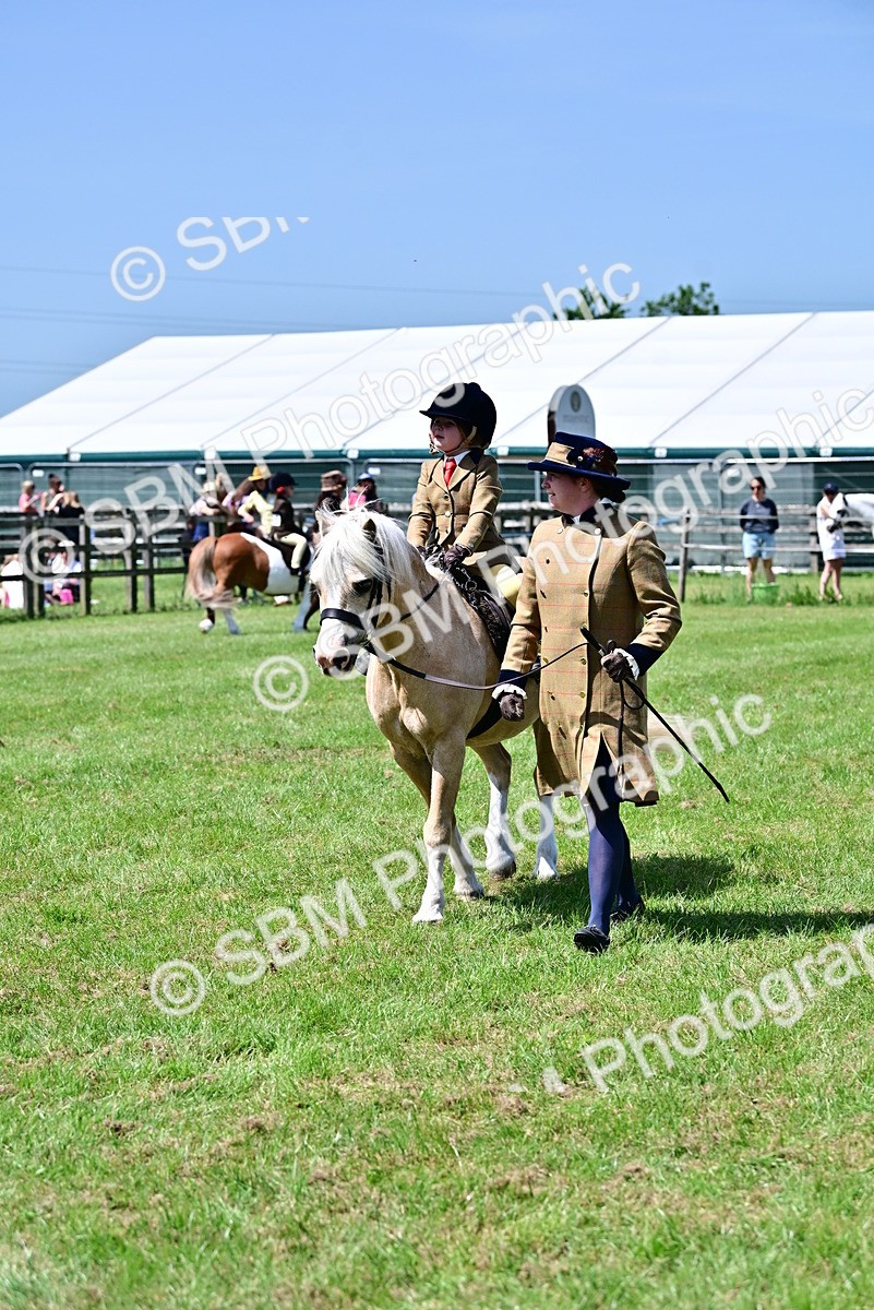 SBM_05942 - Class 59-60 - TSR M&M  Lear Rein and First Ridden Amateur of the year
