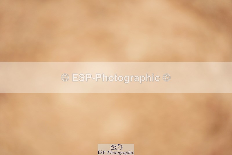 240526A-114948-07907 - Cls 26 Chard Equ 1.05m and 1.10m Grand Prix