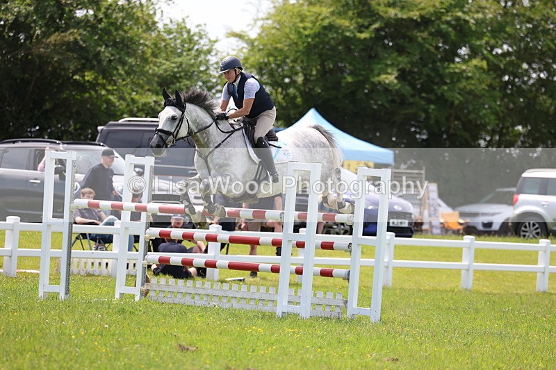 3E7A1401 - Class 12: Senior Foxhunter/1.20 open