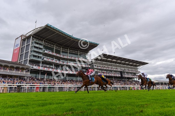 270724-Race 6-Ziggy-1426 - Race 6 5.10pm Sky Bet, For The Fans Handicap