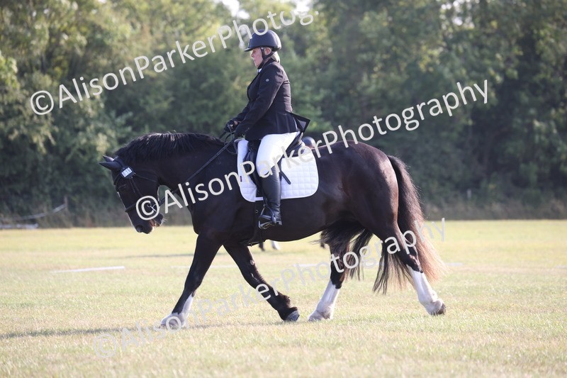 20250731-0675 - Class 1 - Intro 4