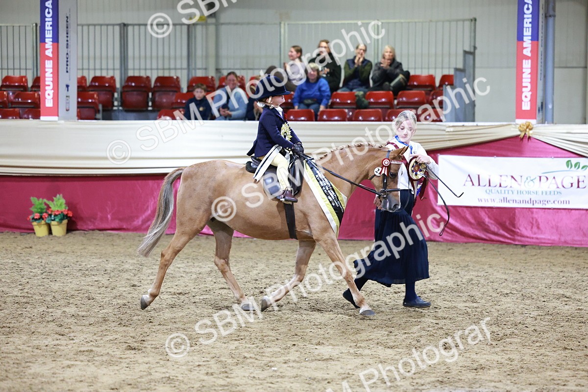 SBM_20604 - Class H - IH Competition - Riding Club champ