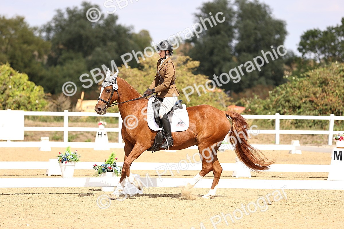 SBM_014978 - Class 6 - Elementary 5