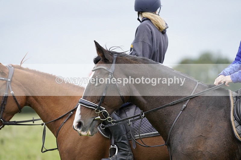 _DSC6495 - Time at Photographer 10:13 to 10:42