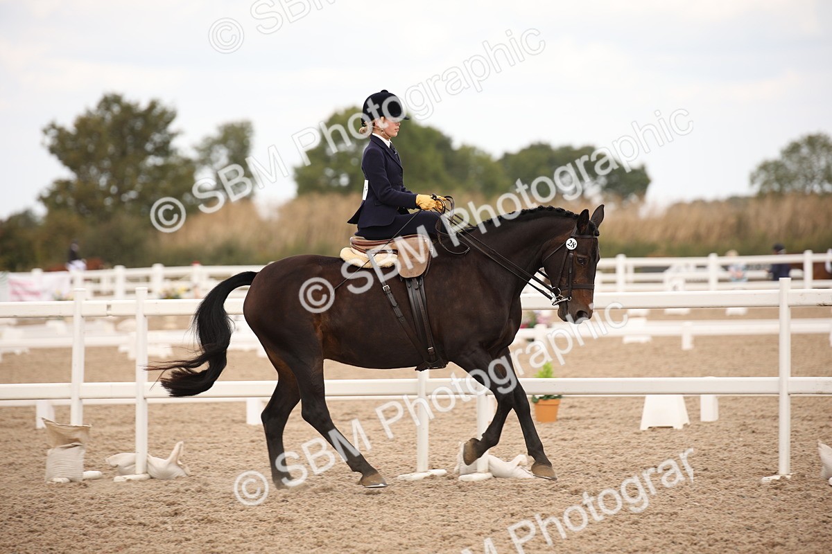 SBM_05333 - Class 22 SSA Equitation