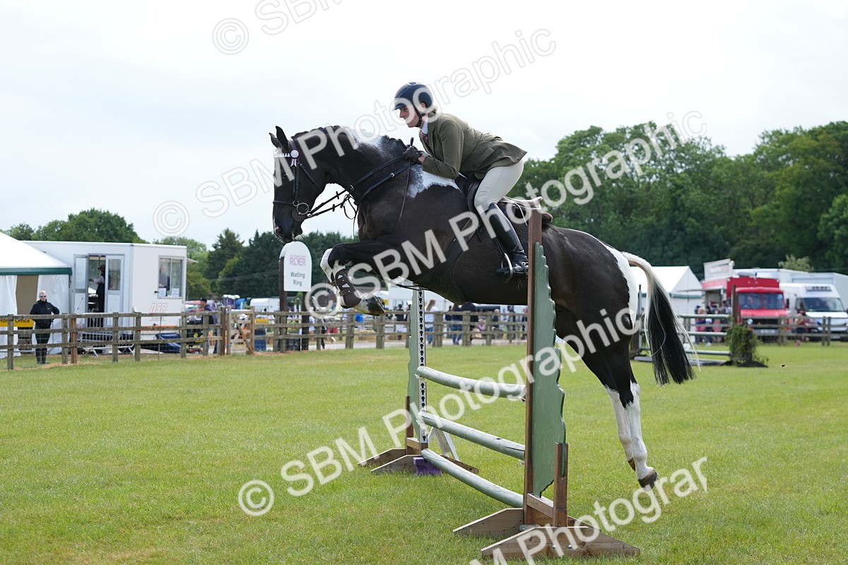 SBM_12871 - Class 99 - RIHS SEIB Working Show Horse