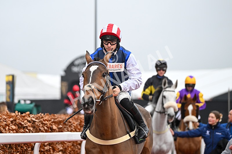 131224-Race 5-Shakem Uparry-9316 - Race 5