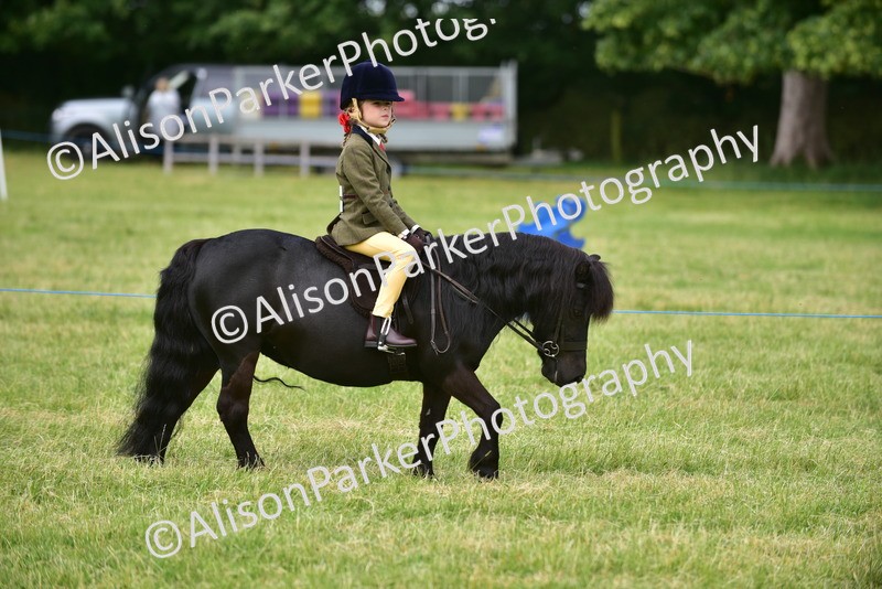 20260614-3636 - Class 15 - Prettiest Mare