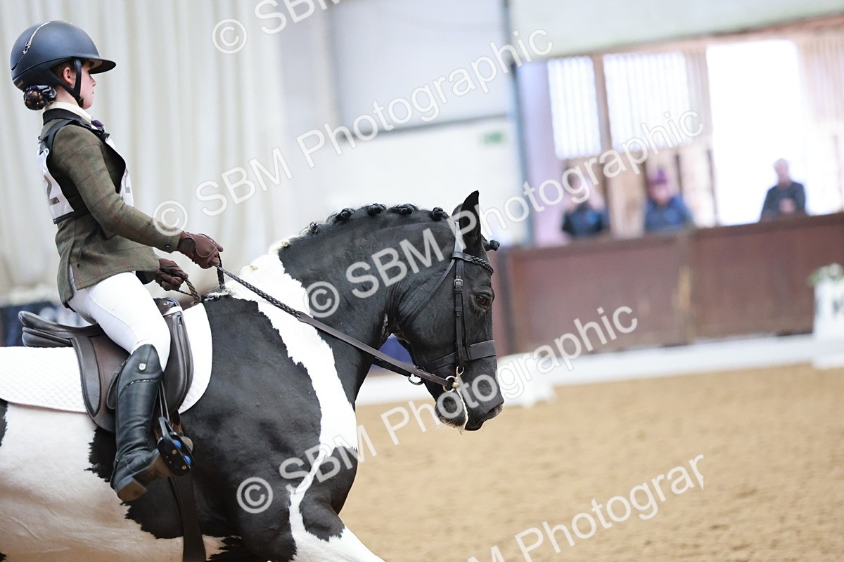 SBM_003869 - Class 2 - Novice 2020