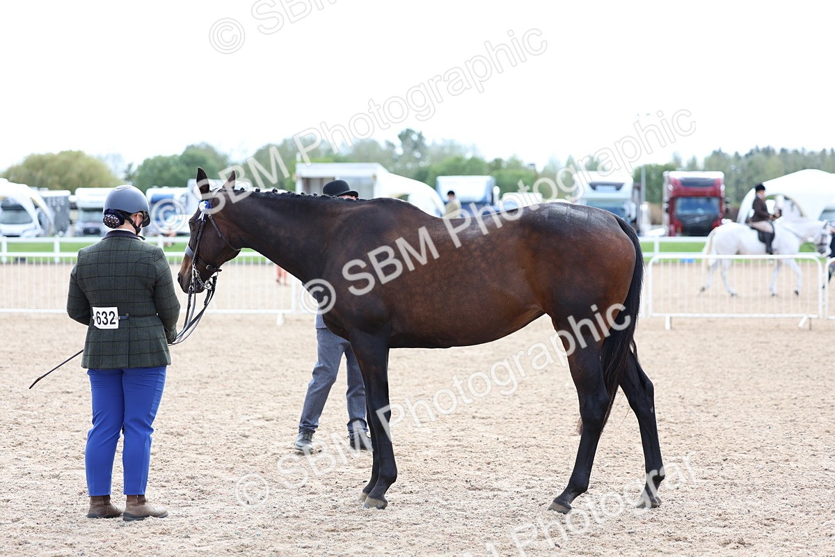 SBM_15287 - Class 313 - IH Retired Racehorse