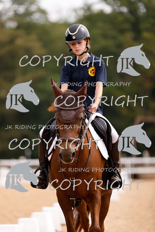 _R6A2481 - Dressage Morning