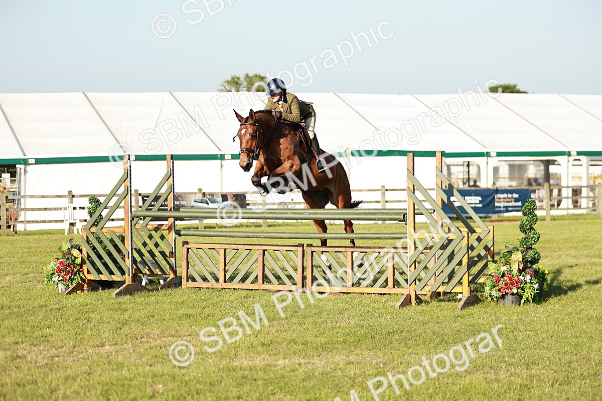 SBM_20378 - Class 117-119 - Sport Horse Working Hunter
