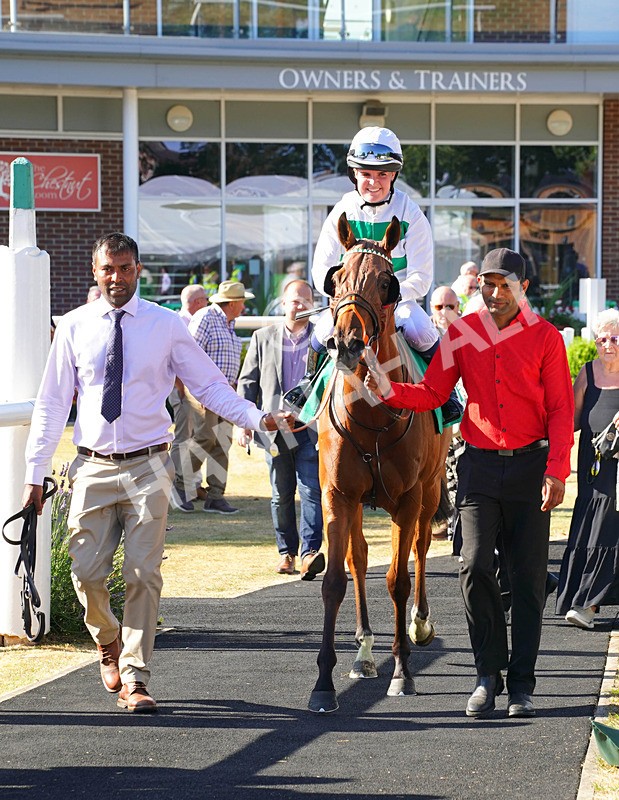 240726-Race 7-Sunlit Sea-01976 - Race 7 17.27pm Racing Excellence Apprentice Handicap
