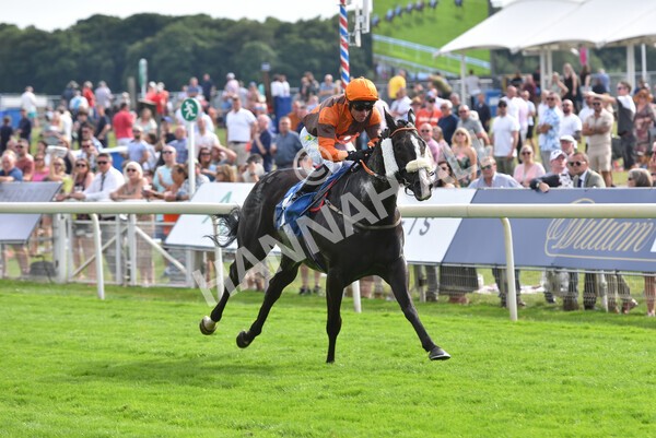 yr08072022r6-17 - Race 6 5.00pm Irish Thoroughbred Marketing Stakes
