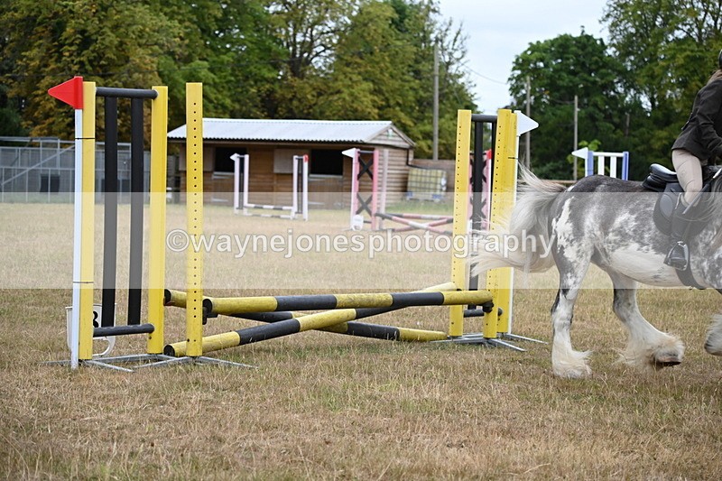 WJ6_9653 - Class 12 Minimus Jumping 45cm