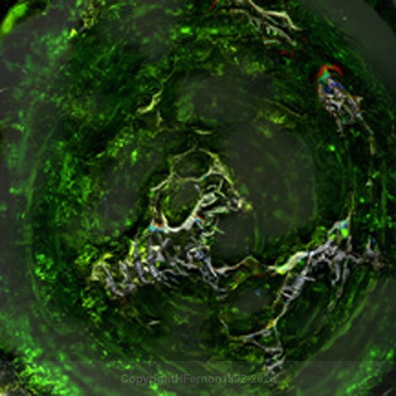 RSVP- GREEN 1996 - ONLINE DOMAIN 1992-1996