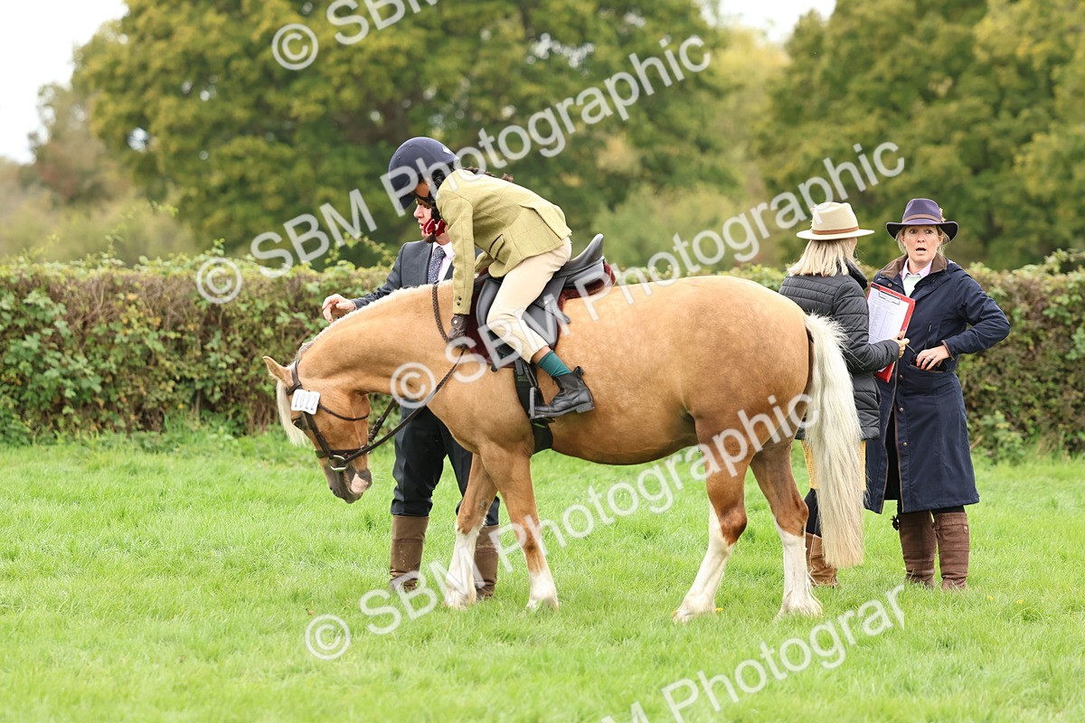 SBM_64510 - S58 - Coloured Pony Ridden