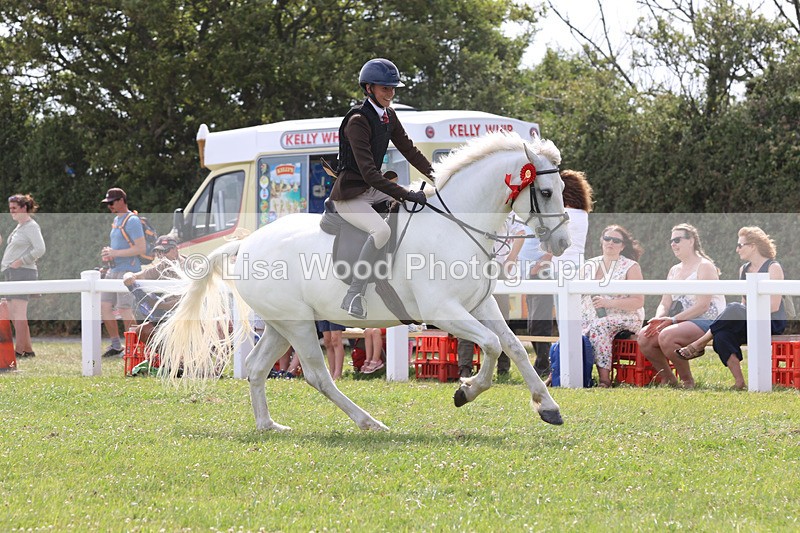 JPP_3976 - Class 23: Working Hunter 80cm
