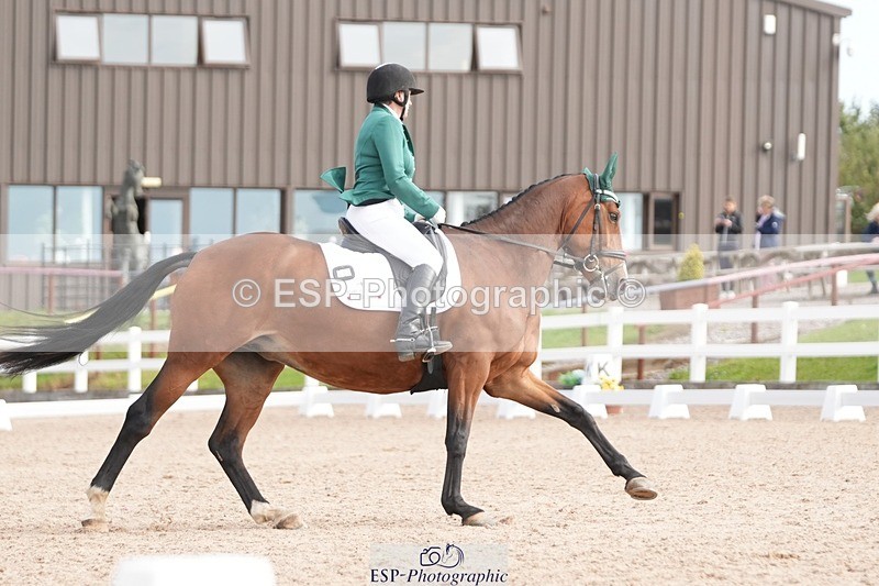 250906-100247-01419 - 001-Tracy.OKennedyWylye.Harlequin