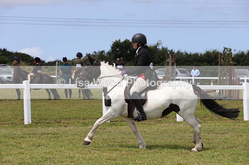 1X9A4684 - Class 34: Veteran Ridden