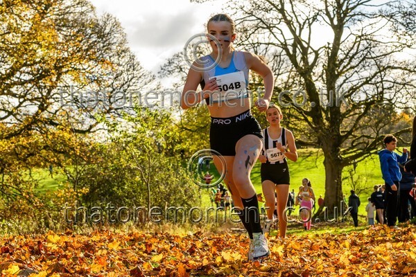 NatRel25-913499 - Young Female Set One