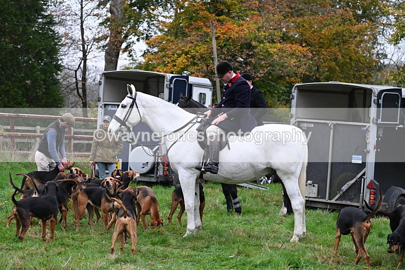 WJ7_7430 - The Meet