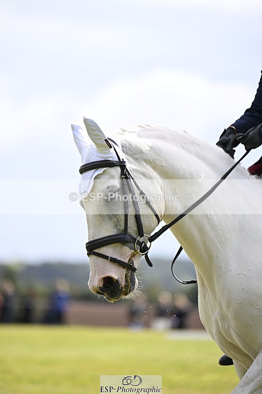 240824X-111620-25786 - D80 Section E and F 11.00 to 12.00