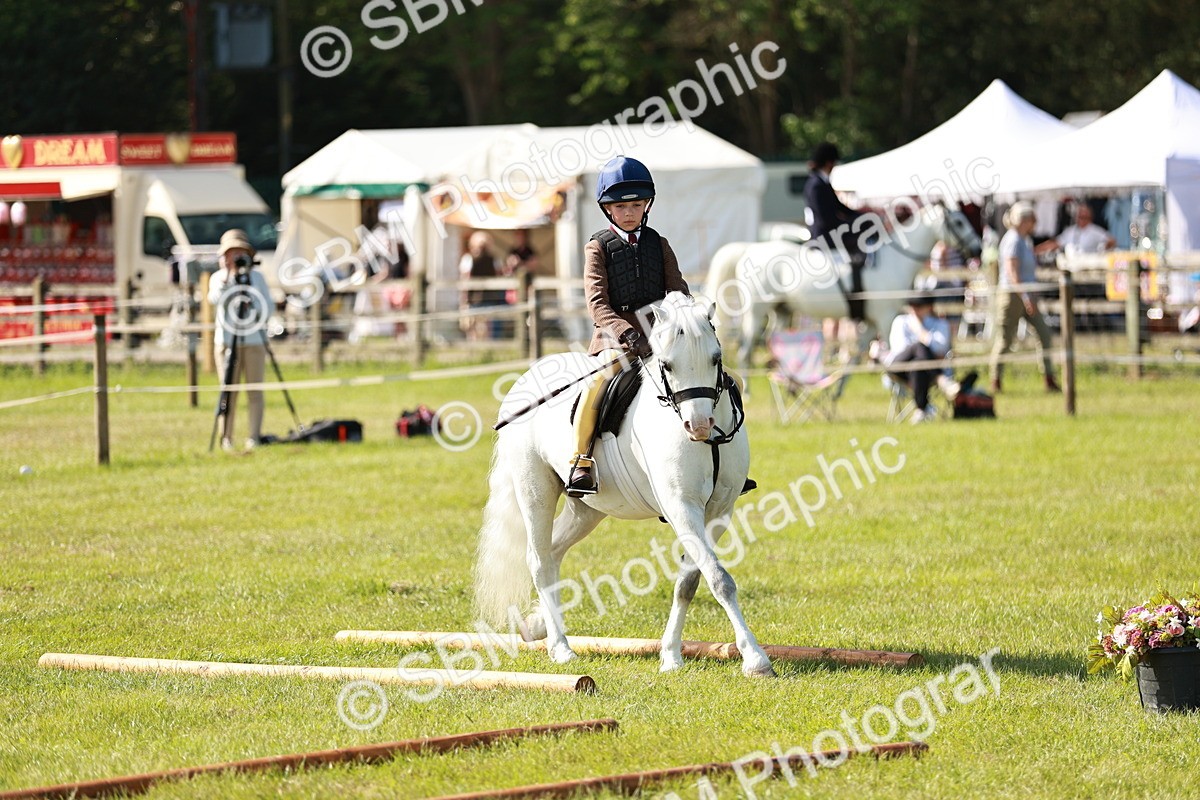 SBM_12636 - Class 106-107 - BSPS LIHS Working Sports Pony