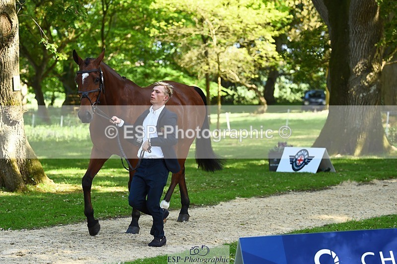 230524-160948-00726 - 264-BALLADEER_JUST_FOR_KICKS-Ellie_Healy-WEDTrotUp+DR