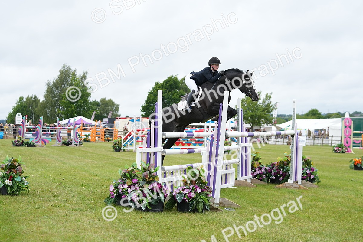 SBM_03305 - Class 201 - British Horse Feeds Speedi Beet Horse of the Year Show Grade  C
