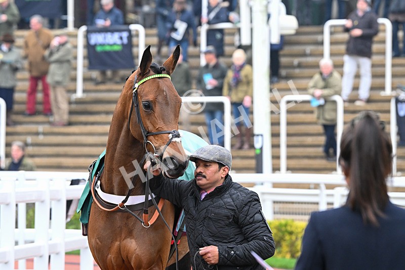 131224-Race 1-Thats Nice-8507