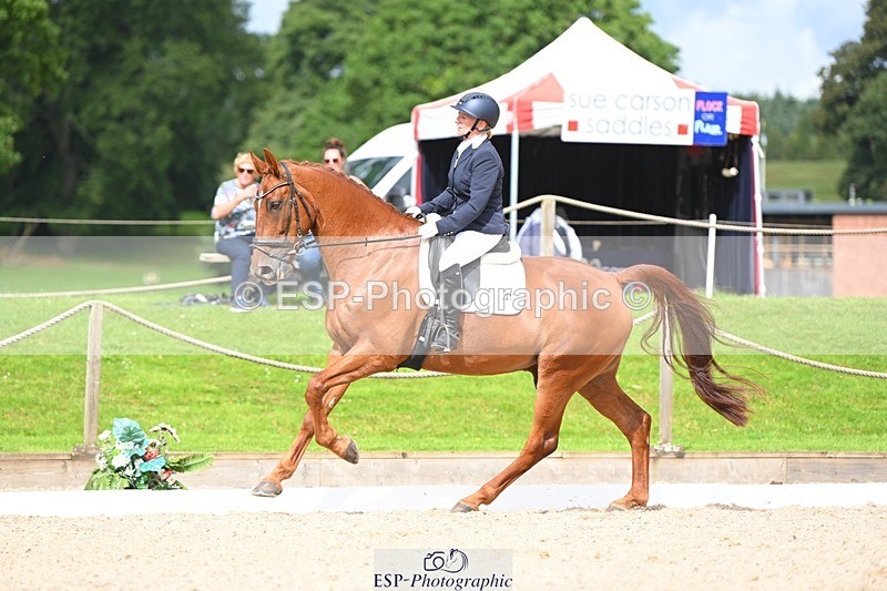 230813-110807-06511 - Cls 12 Elem Silver 10.35 to End