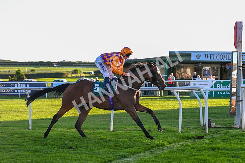 300926-Race 7-Prince Of Calypso-7081 - Race 7 5.25pm Amstel Gallop Handicap