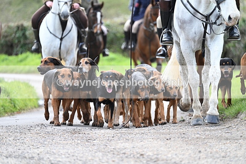 WJ7_9787 - Walk Home