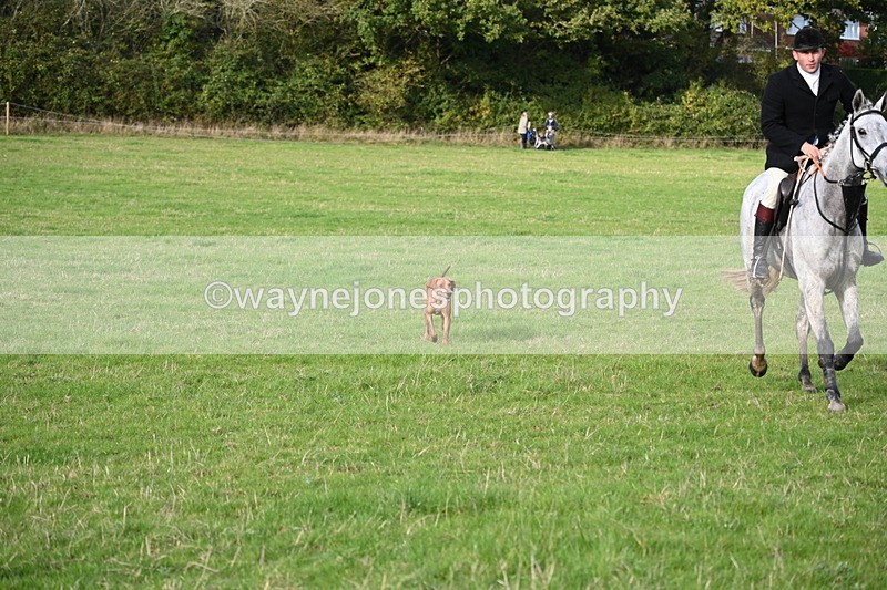 WJ6_5554 - Camera 1