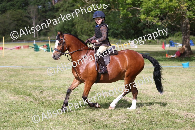 20260614-0486 - Class 20 - Beginners Working Hunter Pony