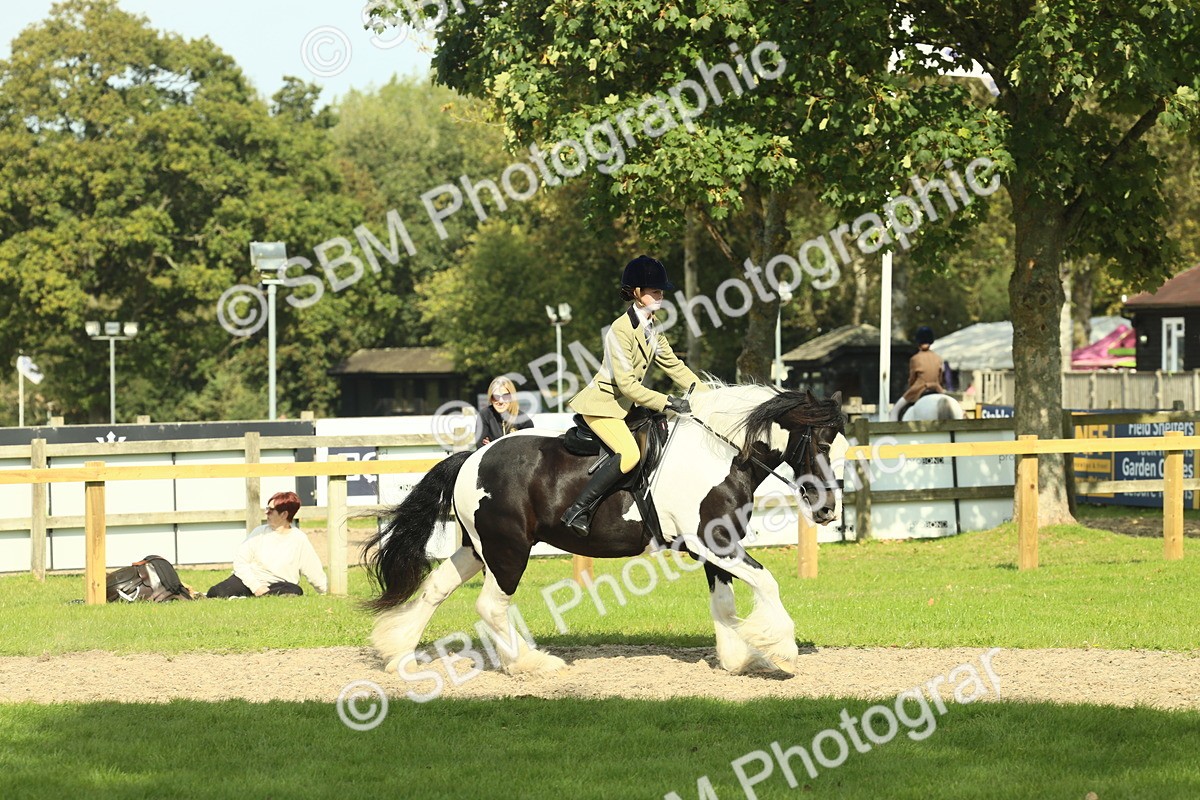 SBM_67609 - S56 - Coloured Pony Ridden