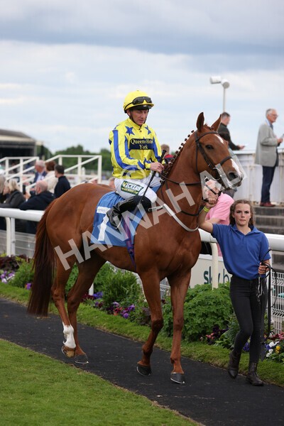 yr22052022r7-11 - Race 7: 6:40pm Sky Bet Sunday Series Fillies' and Mares Stakes