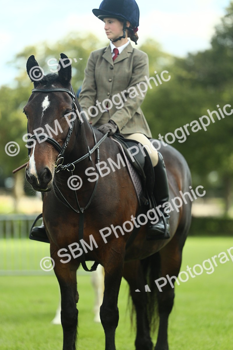 SBM_42157 - S29 - Novice & Newcomers Working Hunter Pony
