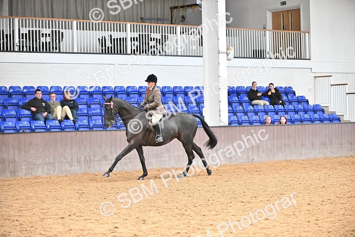 SBM_001934 - Class 25 - Tattersalls ROR Amateur Ridden