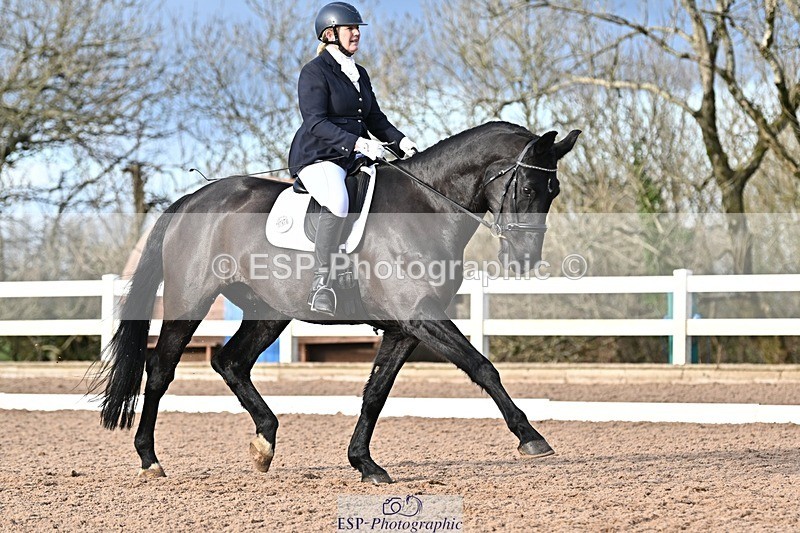 241214-130215-01805 - 156-Jo.Roberts-MajesticC