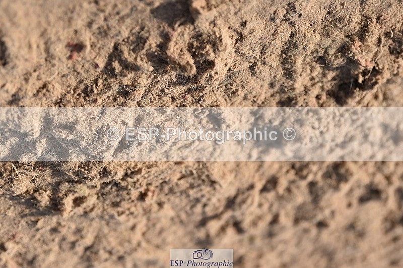 231015A-111100-07393 - Cls 23 Discovery & 1m Open