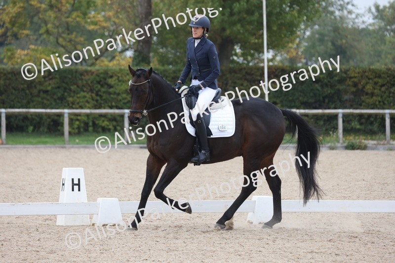 20251012-0771 - Class 7 - Medium 5