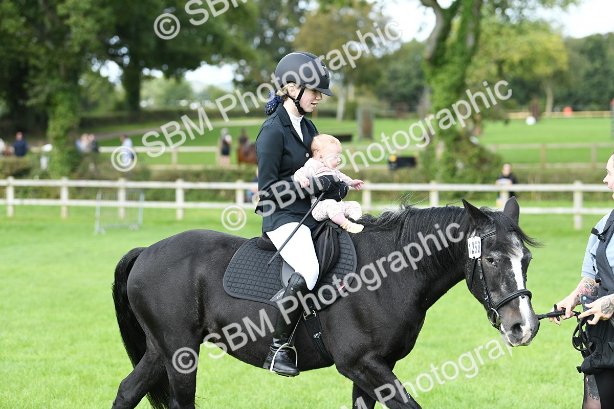 SBM_46830 - S12 - Family Horse & Pony